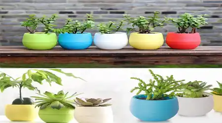 pots